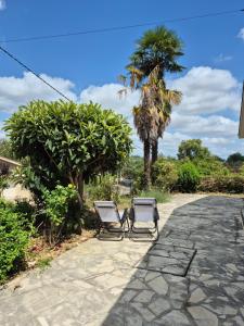 two chairs sitting on a stone walkway with a palm tree at Lake Villa Castéra-Verduzan in Castéra-Verduzan