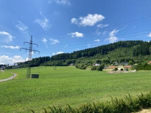 a field of green grass with a utility pole at Chill out Zone in Kraubath an der Mur