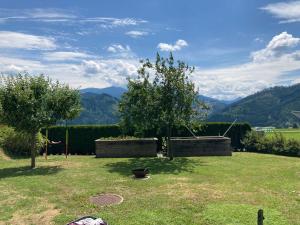 a garden with two trees and a bird in the grass at Chill out Zone in Kraubath an der Mur