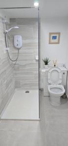 a bathroom with a toilet and a glass shower stall at furnace halls in Taffs Well