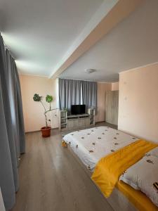 a bedroom with a large bed and a television at Casa Noastră in Călimăneşti