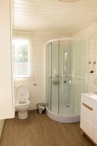 a bathroom with a toilet and a glass shower at Houseboat Daisy in Prague +9 photos