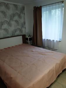 a bedroom with a large bed with a window at Apartment JB2 Grmovine in Risika