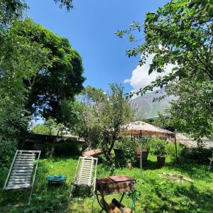 A garden outside GIO-NIKA