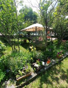 A garden outside GIO-NIKA