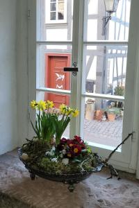 Zahrada ubytování Ferienhaus No 11 in der Altstadt 160 qm 5 Pers