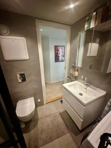 a bathroom with a white sink and a toilet at Exclusive Central-Home in Central Oslo- for five people in Oslo