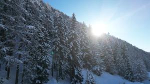 Chalet Arrabona talvel