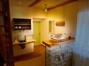 a kitchen with a sink and a counter top at Statek Pazderna  +52 photos