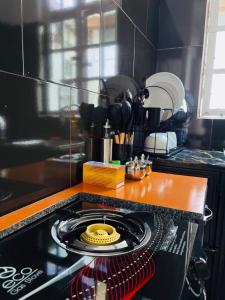 Kuchyň nebo kuchyňský kout v ubytování One bedroom apartment in Moshi town + 53 fotografií