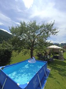 Bazén v ubytování Pension Zeitlos nebo v jeho okolí