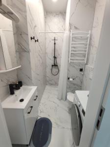 bagno con lavandino e scala di Senamiesčio apartamentai a Klaipėda