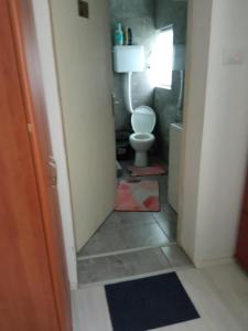 a bathroom with a white toilet in a room at seosko turisticko gazdistvo milanovic zuc in Žuč