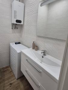 a white bathroom with a sink and a mirror at Apartment Near Border Crossing and Narva College in Narva
