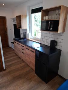 Lewin KłodzkiNoclegi przy Wiadukcie - Apartamenty的厨房配有黑色台面和木质橱柜