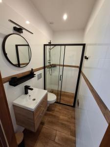 Lewin KłodzkiNoclegi przy Wiadukcie - Apartamenty的配有马桶、水槽和镜子的浴室