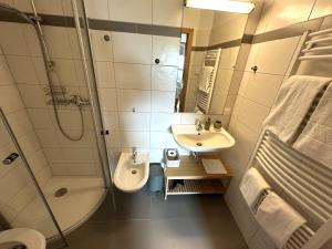 une salle de bain avec un lavabo, des toilettes et une douche dans l'établissement Ferienwohnung Earthloft, à Bad Kleinkirchheim 26 autres photos