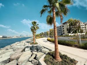 Un paisaje natural cerca del departamento