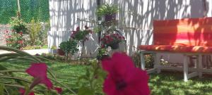 Fotografie z fotogalerie ubytování Rustic Tale Guesthouse v destinaci Tale