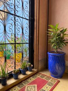 Zahrada ubytování Calm appartment close to airport of Marrakech