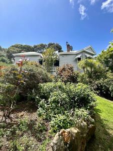 une maison blanche avec une cour avec des buissons dans l'établissement Hilltop Cottage, à Bridgetown