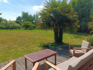 a wooden bench and a chair and a palm tree at Gîte de la Croix Regnault in Raids