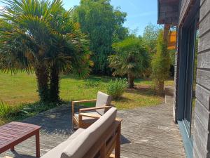 a patio with a bench and a table and palm trees at Gîte de la Croix Regnault in Raids
