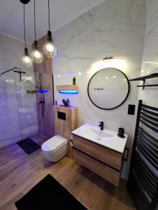 a bathroom with a sink and a toilet and a mirror at Kaprys Apartament in Brenna