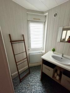 a bathroom with a sink and a window at La maisonnette d Éline - meublé 3 étoiles in Vittel +11 photos
