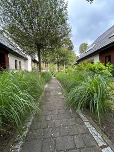 Zahrada ubytování Gryf-Balt - Apartament