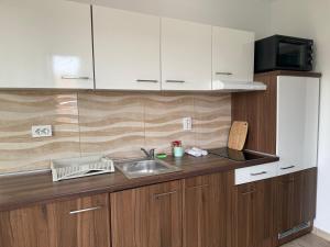 Kuchyň nebo kuchyňský kout v ubytování Apartments Moreno - Pannonia + 8 fotografií