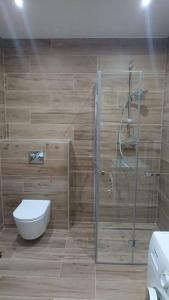 un bagno con wc e doccia in vetro di Agroturystyka dzika łąka Słonów Domek 