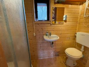 a bathroom with a toilet and a sink at Bungalow 55 Naturcamping Ziegenrück Plothental in Ziegenrück