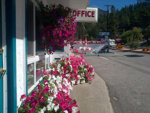 a store with flowers on the side of a street at AppleTree Inn in Radium Hot Springs