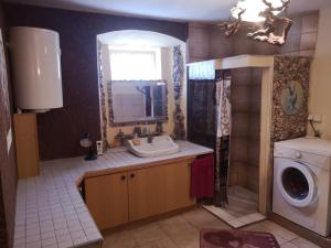 a bathroom with a sink and a washing machine at Art & Sun in Kočevje