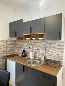 eine Küche mit Spüle und Theke in der Unterkunft Apartman Maki 1 in Sombor