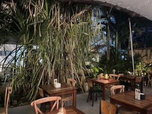 Κήπος έξω από το 27 Cafe Zanzibar Airport Hotel