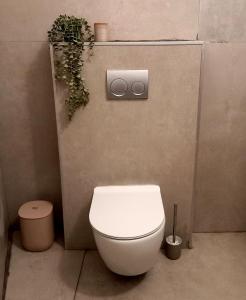 ein Badezimmer mit einem weißen WC und einer Pflanze in der Unterkunft אירוח בגבעה in Giv‘at Shemuʼel