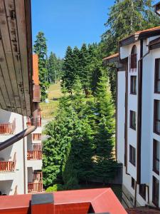 a view from the balcony of a building with trees at Borovets Violet by Ski slopes in Borovets