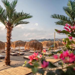 a beach with a palm tree and straw umbrellas at Guest House Kostovi in Kiten