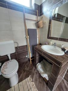ein Badezimmer mit Toilette, Waschbecken und Spiegel in der Unterkunft Akácvirág Airport Vendégház in Debrecen + 36 Fotos