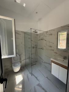 a bathroom with a toilet and a sink and a shower at Bujtina4A Rrenc in Renc