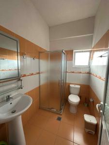 a bathroom with a shower and a toilet and a sink at Guesthouse Agalliu in Ksamil +21 photos