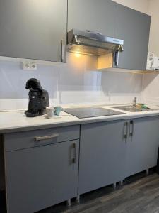 Kuchyň nebo kuchyňský kout v ubytování T2 Entièrement neuf, Central