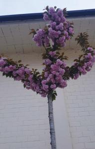 Afbeelding uit fotogalerij van B&B Il Verde in Saluzzo