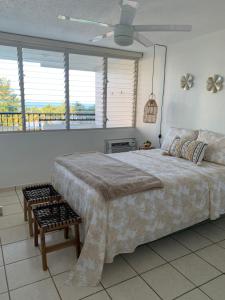 Voodi või voodid majutusasutuse Luquillo Beach & Ocean Breeze toas