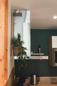 a mirror on a wall with plants in a kitchen at La Loge Saumuroise - Centre-ville & Local vélo in Saumur
