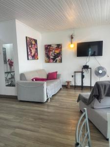Sjónvarps- og/eða afþreyingartæki á PENTHOUSE 10 MIN port croisière et aéroport