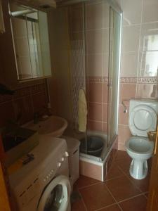 a bathroom with a toilet and a sink and a shower at Inna Apartment near the Sea in Petrovac na Moru