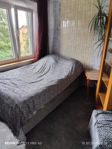 una camera da letto con un letto e una finestra di своя комната в трёхкомнатной квартире или квартира целиком a Maardu